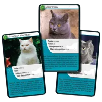 Joc educativ Bioviva Nature Challenge: Cats 7+/ Dezvoltare photo 4