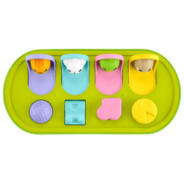 Развивающий набор Fisher Price Hide and seek with animals JDL66  1+ / Зеленый photo 5