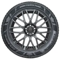 Anvelope Compasal Winter Stud 215/55 R16 97T XL Iarnă / Autoturism photo 2