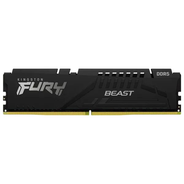 Memorie RAM Kingston FURY Beast KF556C36BBE-64 DIMM / DDR5 / 64 GB photo 1
