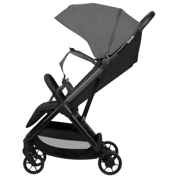 Cărucior pentru copil Lionelo Julie Air LN.226022/ Gray photo 3