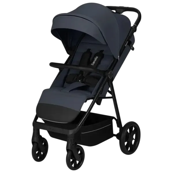 Cărucior pentru copil Lionelo Iva  LN.229065/ Gray photo 1