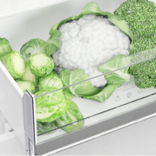Frigider Gorenje RK418DPW4 cu congelator jos 269 l / 180 cm / White photo 5