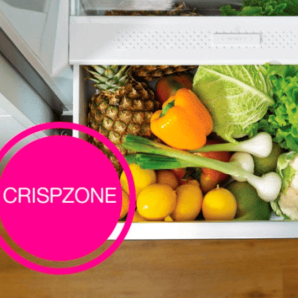 Frigider Gorenje RK418DPW4 cu congelator jos 269 l / 180 cm / White photo 7
