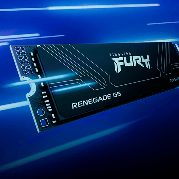 SSD Kingston Fury Renegade G5 8 TB M.2 NVMe photo 4