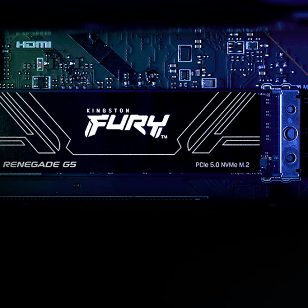 SSD Kingston Fury Renegade G5 8 TB M.2 NVMe photo 5