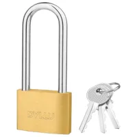 Висячий замок DYLLU DTPD2460 Железо / Ключ