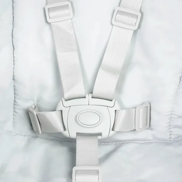 Scaun de masă Caretero Sitron (CT.228479) / 6 luni / Gray  photo 9