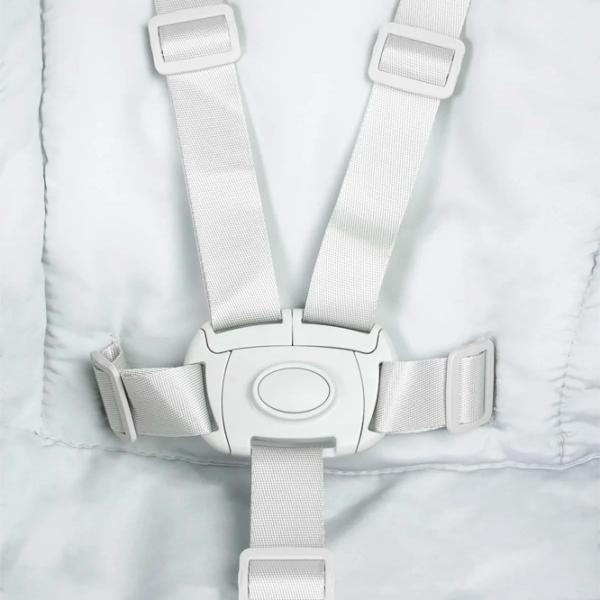 Scaun de masă Caretero Sitron (CT.228479) / 6 luni / Gray  photo 9