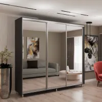 Dulap My-Style Cupe 250 x 60 x 240 / PAL / Anthracite photo 3