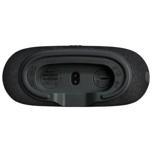 Boxă portabilă JBL Horizon 3 5 W/ Black photo 6