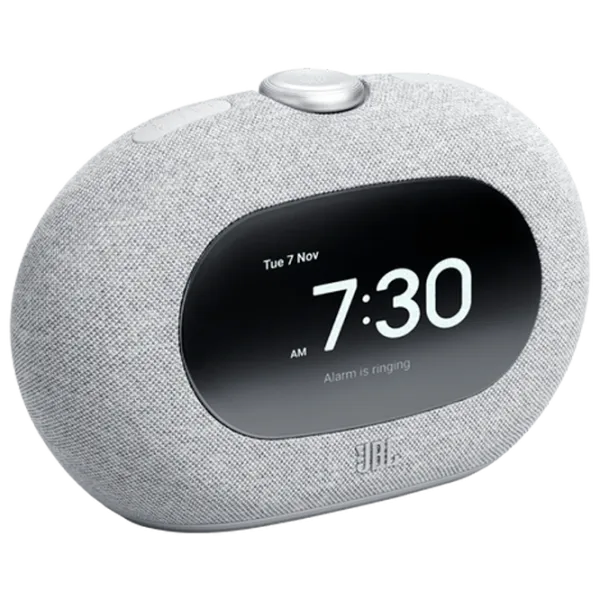 Boxă portabilă JBL Horizon 3 5 W/ Gray photo 1
