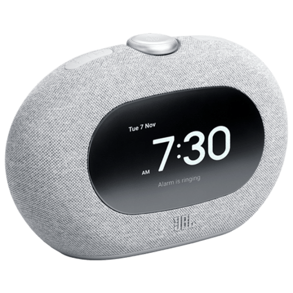 Boxă portabilă JBL Horizon 3 5 W/ Gray photo 1