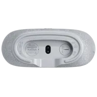 Портативная колонка JBL Horizon 3 5 Вт/ Серый photo 6