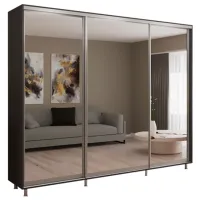 Шкаф My-Style Cupe 270 x 60см x 240 / ЛДСП / Anthracite