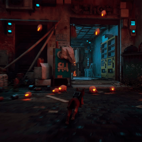  Stray Game for PlayStation 5 photo 7