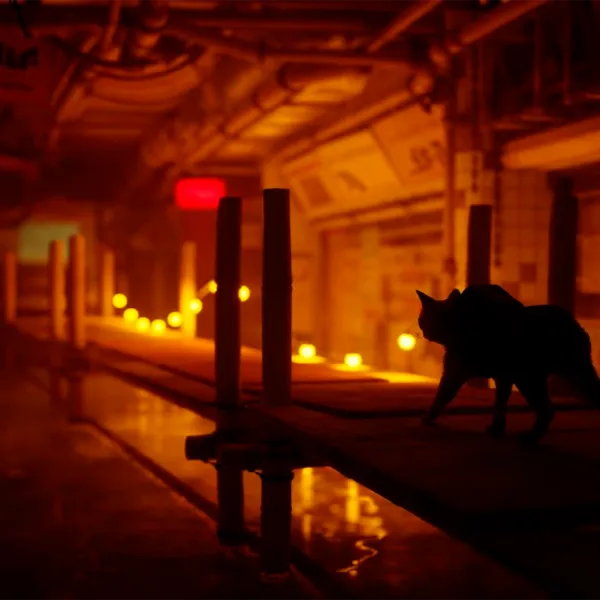  Stray Game for PlayStation 5 photo 11