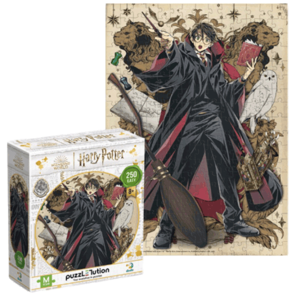 Puzzle DoDo Династия волшебников. Гарри 8+/ Количество деталей: 250 photo 1