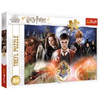 Puzzle Trefl The Secret Harry Potter 8+/ Количество деталей: 300