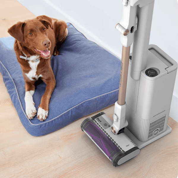 Aspirator vertical Shark Detect Clean & Empty Pet 240 W / Bronze White photo 5