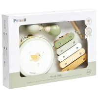 Set de instrumente muzicale VIGA Birdies 1.5 ani / Green photo 2