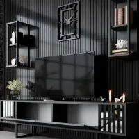 Комплекты ТВ-зона Trendy Chrome Line 48 см x 30 cм x 180 см / Antracit photo 4