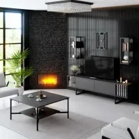 Комплекты ТВ-зона Trendy Chrome Line 48 см x 30 cм x 180 см / Antracit photo 7