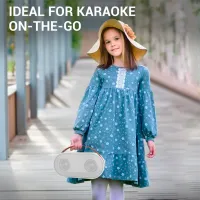 Микрофон KTV P2 Белый photo 6