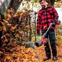 Suflantă de frunze Einhell GP-LB 36/270 Li E BL-Solo / Red photo 5