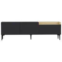 Тумба под телевизор Trendy Mia 48 x 160 x 37см / ДСП photo 2
