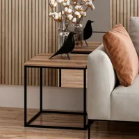 Măsuță de cafea Trendy Basak GTR004057 Brown photo 5