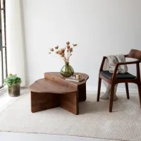 Măsuță de cafea Trendy Altopiano GTR000882 Brown photo 2
