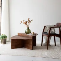 Măsuță de cafea Trendy Altopiano GTR000882 Brown photo 3