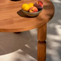 Măsuță de cafea Trendy Ida 60 GTR000853 Stejar Sonoma photo 6