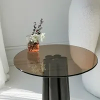 Măsuță de cafea Trendy Thales GTR000889 Bronze photo 5