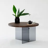 Măsuță de cafea Trendy Serenity GTR000901 Brown photo 3