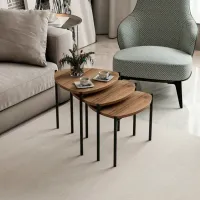 Măsuță de cafea Trendy Lenny GTR003971 Brown photo 4