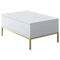 Măsuță de cafea Trendy Lord GTR006133 White