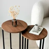 Măsuță de cafea Trendy Neta 1 GTR000795 Brown photo 5