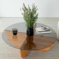 Măsuță de cafea Trendy Crin 2 GTR000844 Stejar Sonoma photo 4