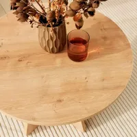 Măsuță de cafea Trendy Ciuperca GTR000749 Stejar Sonoma photo 6