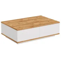 Măsuță de cafea Trendy FR14-AW GTR000737 White