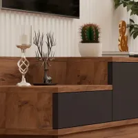 Тумба под телевизор Trendy Asir 35 x 160 x 35см / ДСП photo 4