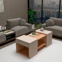 Set măsuțe de cafea Trendy Sartos GTR006176 Beige photo 4