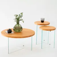 Набор журнальных столиков Trendy Serenity 2 GTR000906 Дуб Сонома photo 5