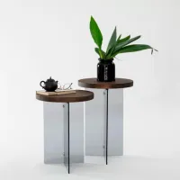 Set măsuțe de cafea Trendy Serenity 2 GTR000908 Brown photo 2