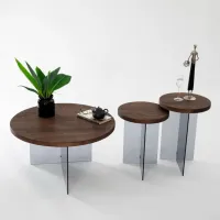 Set măsuțe de cafea Trendy Serenity 2 GTR000908 Brown photo 5