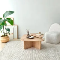 Set măsuțe de cafea Trendy Ballare GTR006184 Stejar Sonoma photo 4