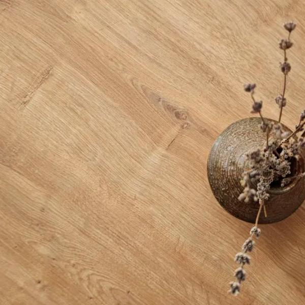 Набор журнальных столиков Trendy Ballare GTR006184 Дуб Сонома photo 7