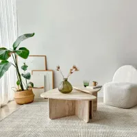 Set măsuțe de cafea Trendy Ballare GTR006185 Gray photo 4